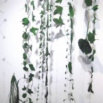 analia-zalazar-instalaciones-034